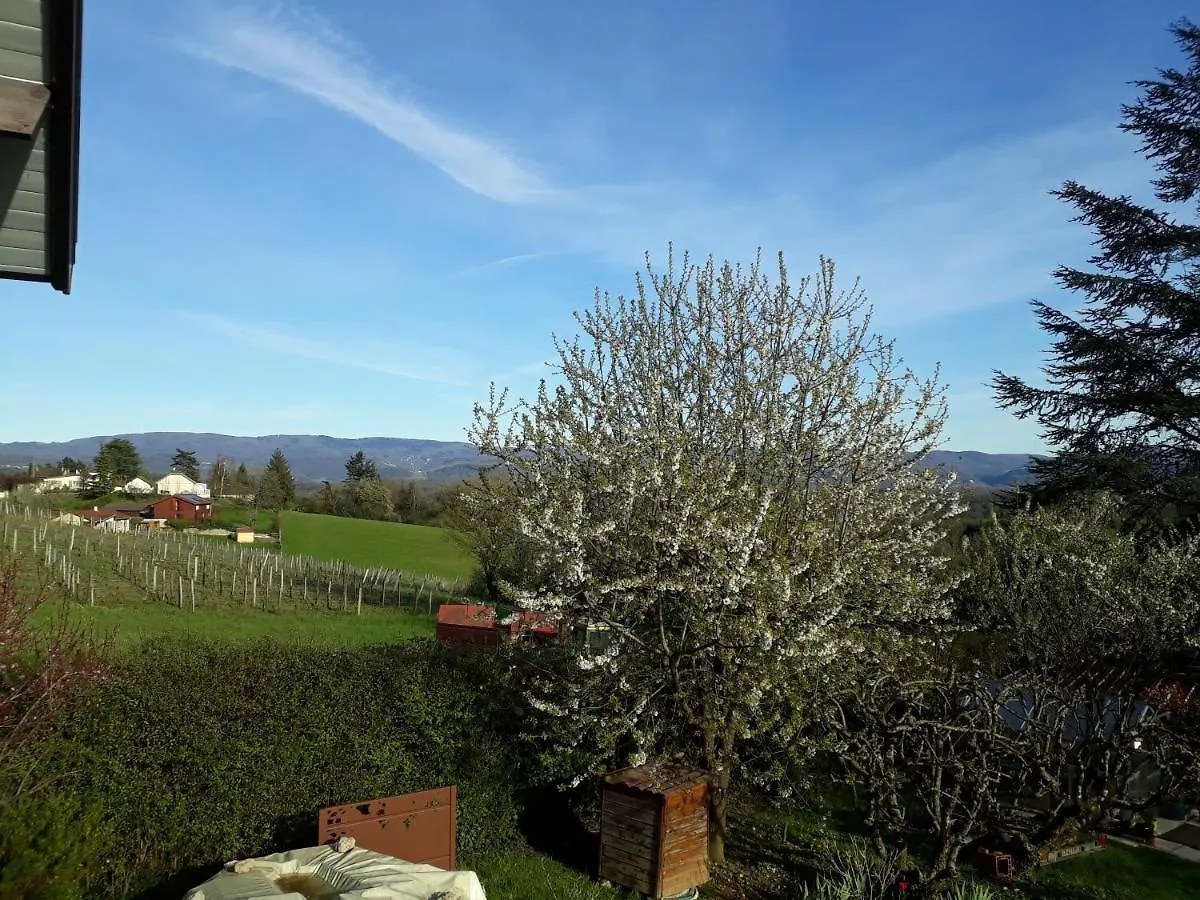 Chalet Norev Saint-Martin-du-Mont Homestay